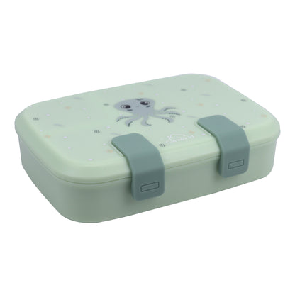 Explorer Lunch Box Green Light Mint 800ML \27 OZ - ClevaInk Friend