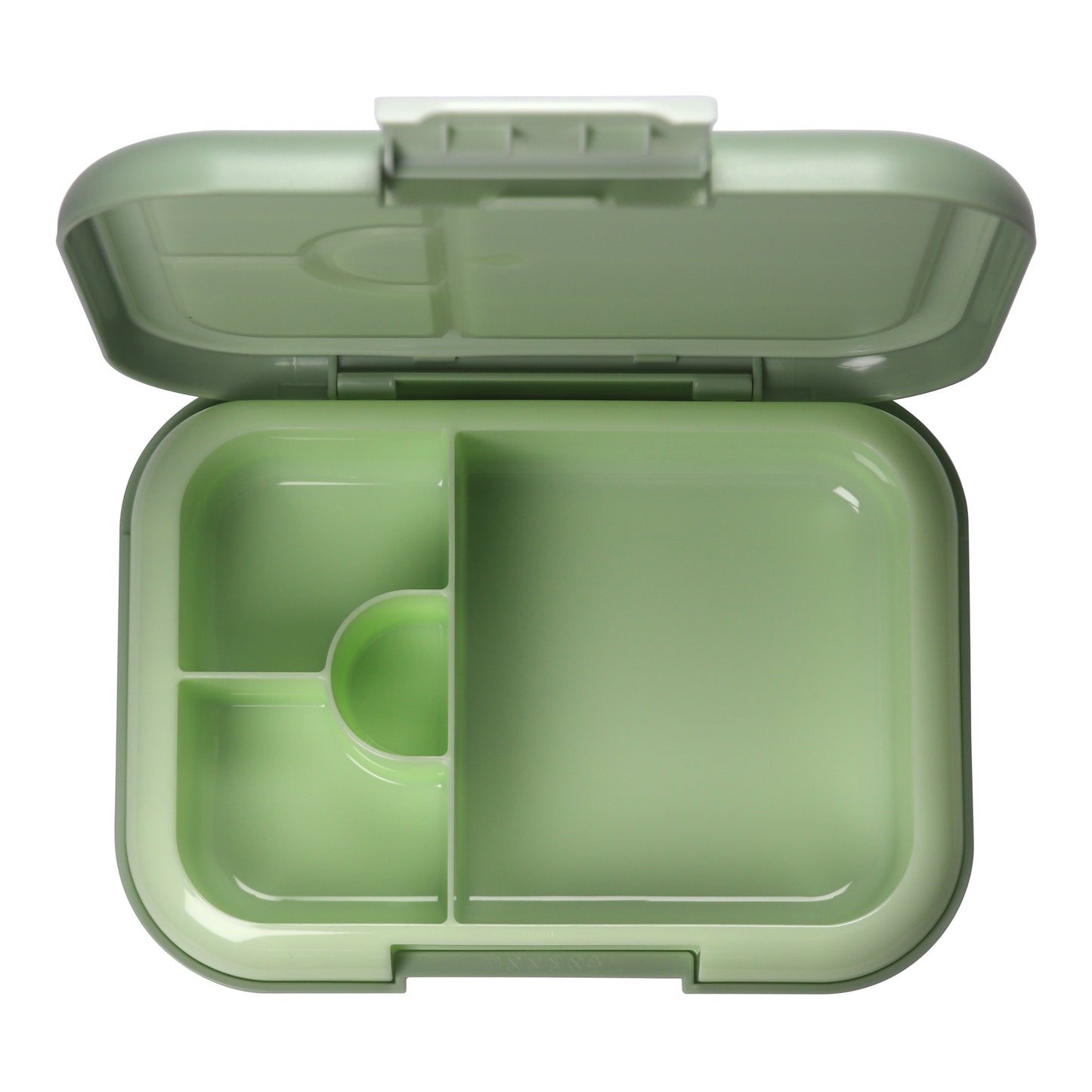 Midi  Lunch Box Green  Olive 900ML \30 OZ