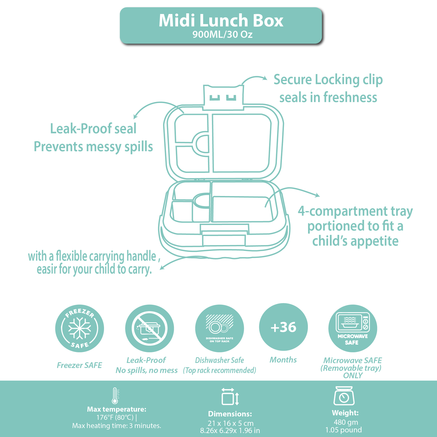 Midi  Lunch Box Green  Olive 900ML \30 OZ
